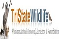 TriState Wildlife